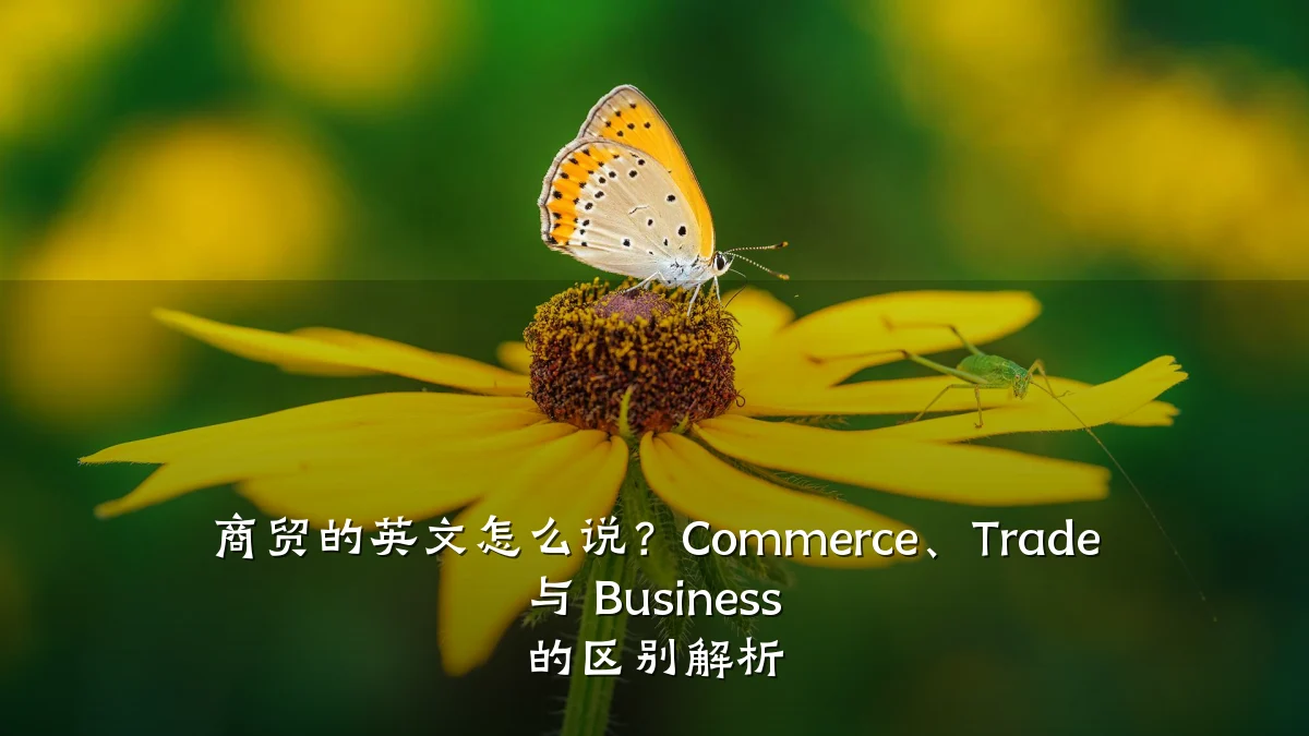 商贸的英文怎么说？Commerce、Trade 与 Business 的区别解析