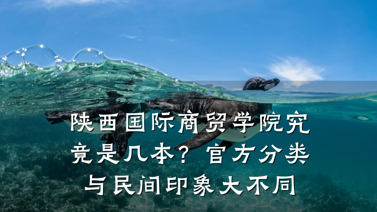 陕西国际商贸学院究竟是几本?官方分类与民间印象大不同