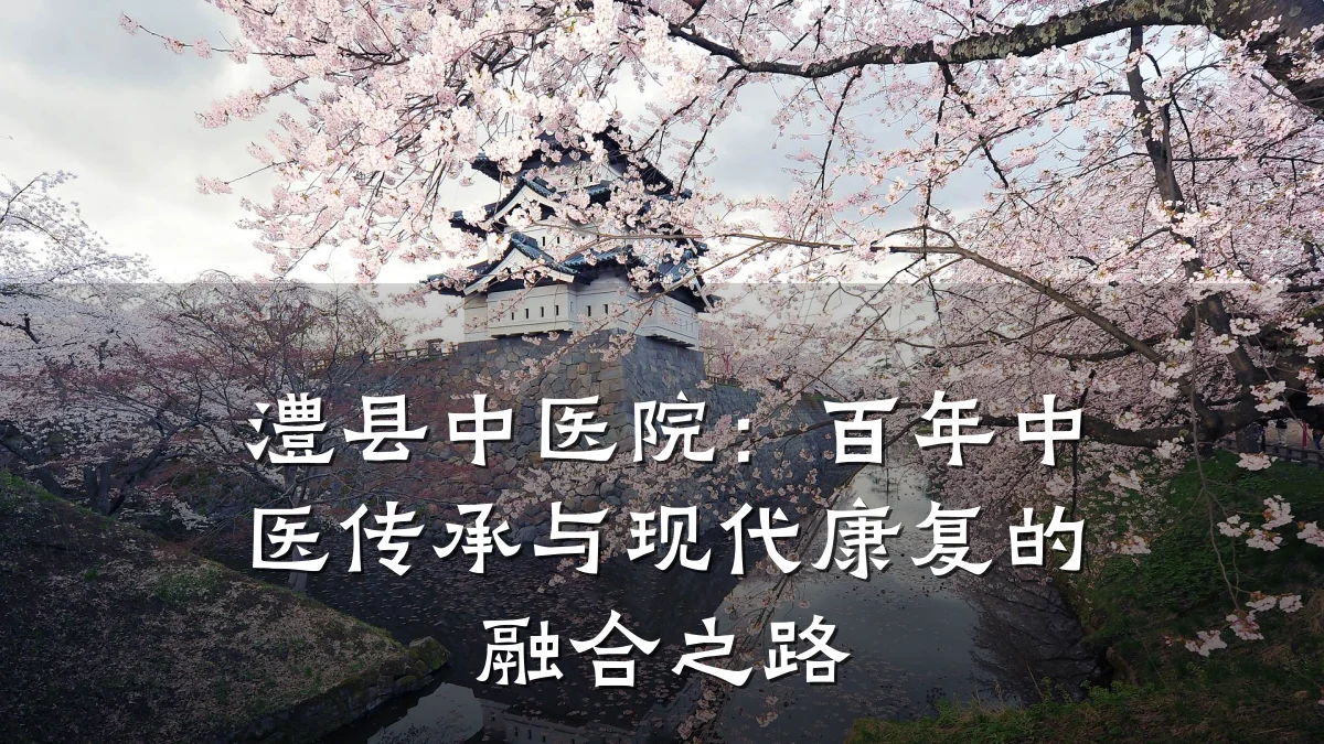 澧县中医院:百年中医传承与现代康复的融合之路