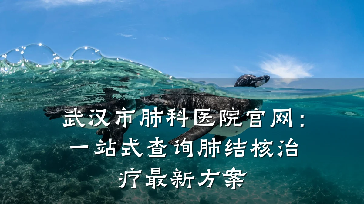 武汉市肺科医院官网:一站式查询肺结核治疗最新方案