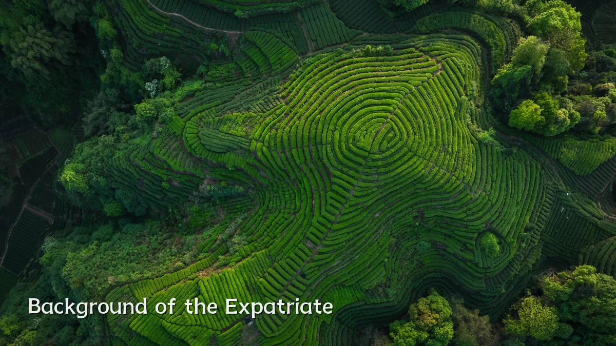 Background of the Expatriate