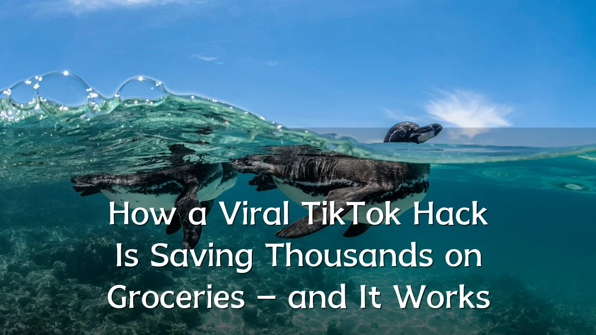 How a Viral TikTok Hack Is Saving Thousands on Groceries – and It Works