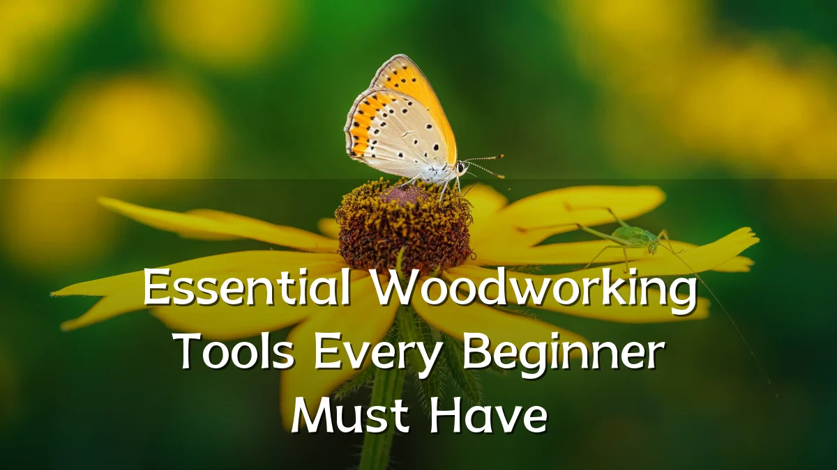 Essential Woodworking Tools Every Beginner Must Have