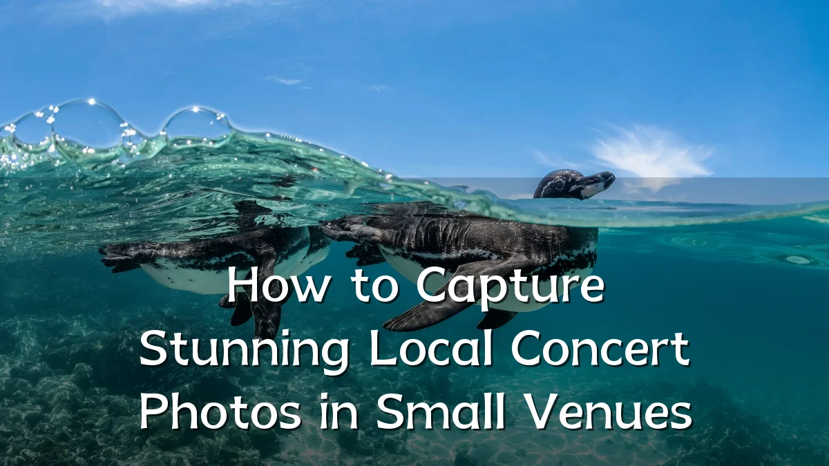How to Capture Stunning Local Concert Photos in Small Venues