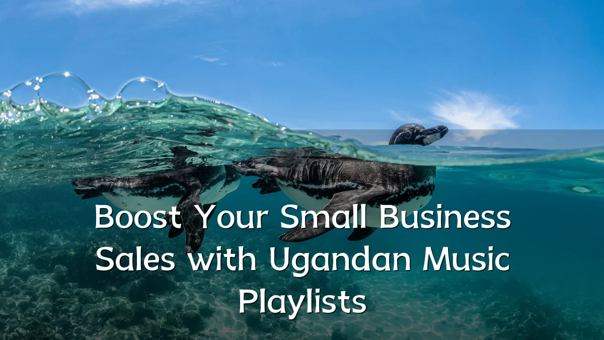 Boost Your Small Business Sales with Ugandan Music Playlists
