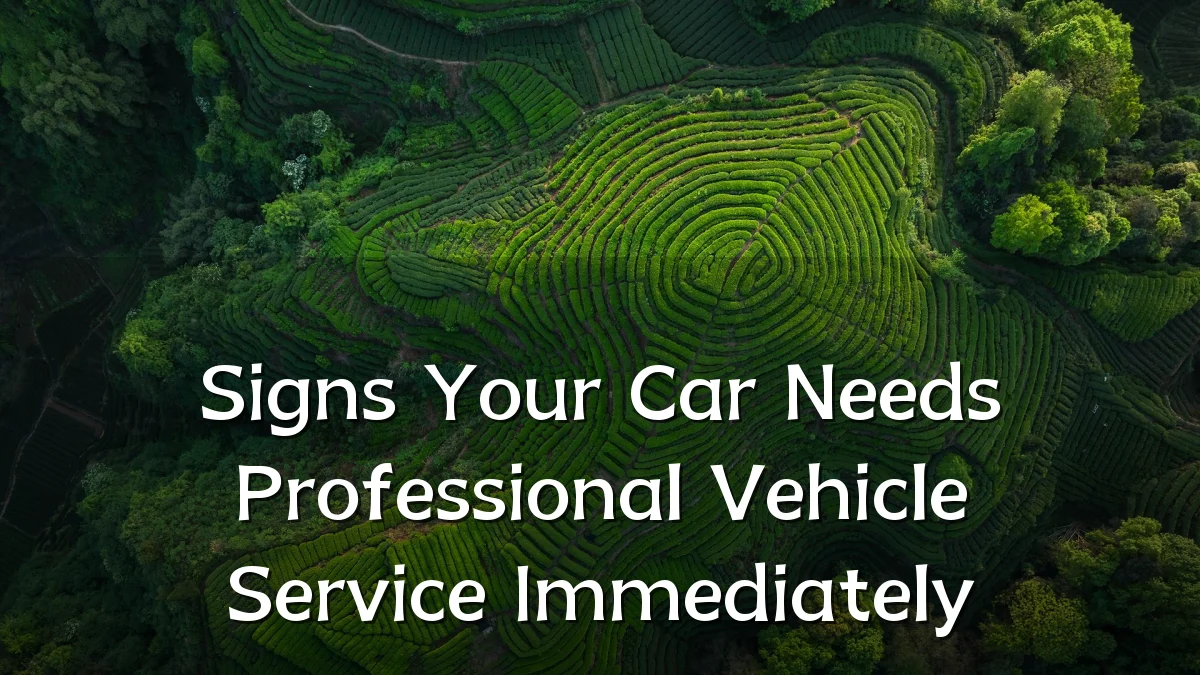 Signs Your Car Needs Professional Vehicle Service Immediately