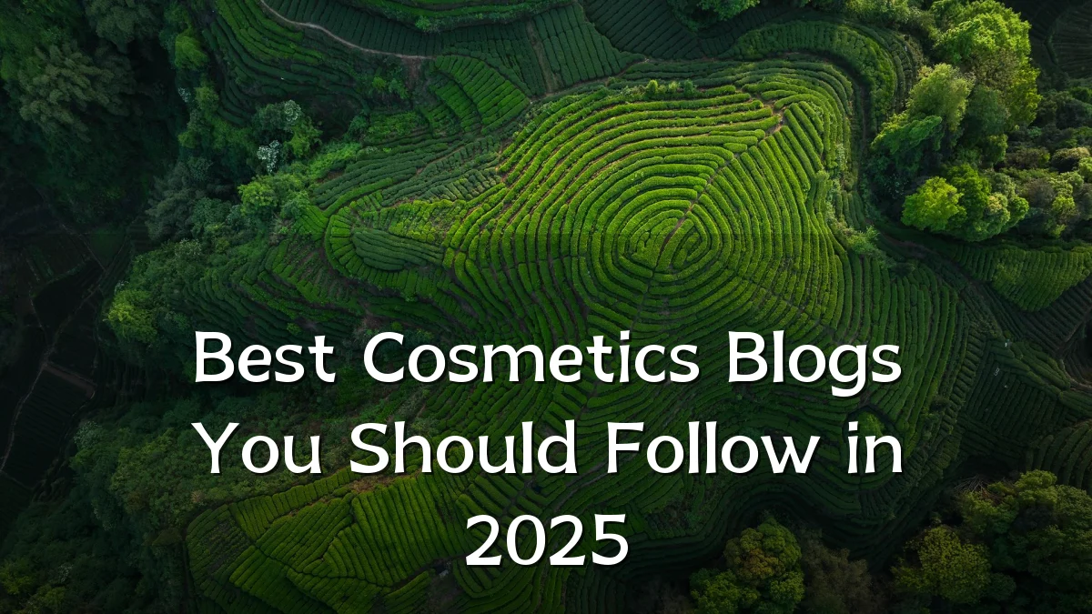 Best Cosmetics Blogs You Should Follow in 2025
