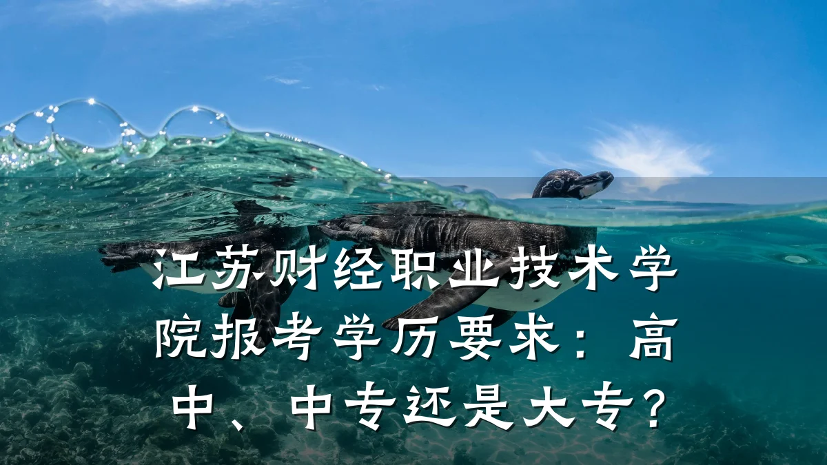 江苏财经职业技术学院报考学历要求:高中、中专还是大专?