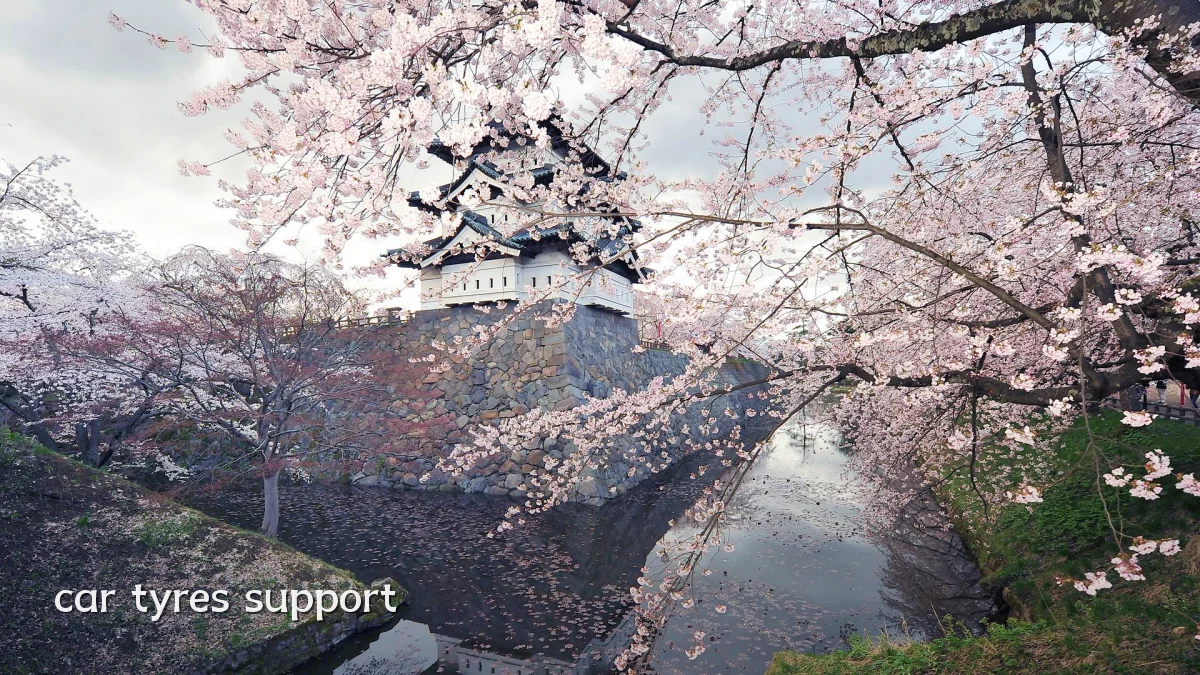 car tyres support