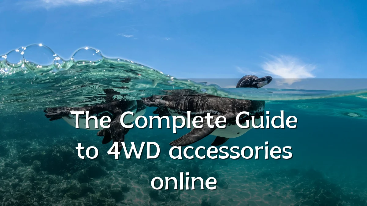 The Complete Guide to 4WD accessories online