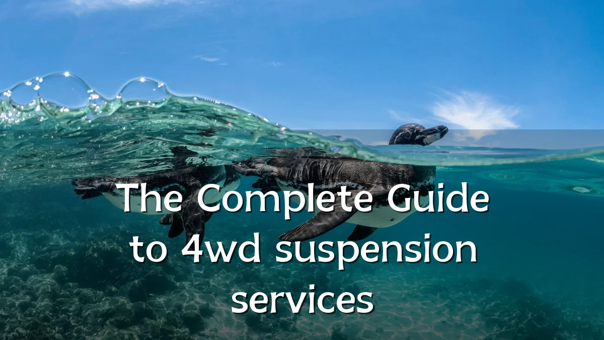 The Complete Guide to 4wd suspension services