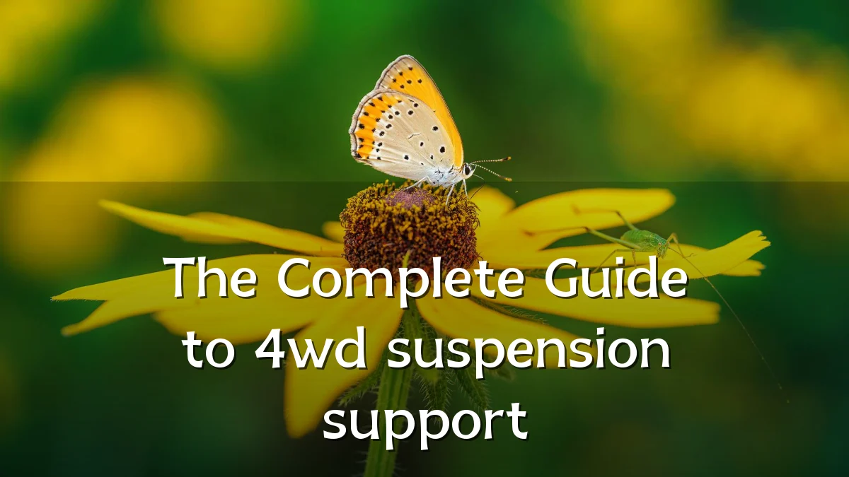 The Complete Guide to 4wd suspension support