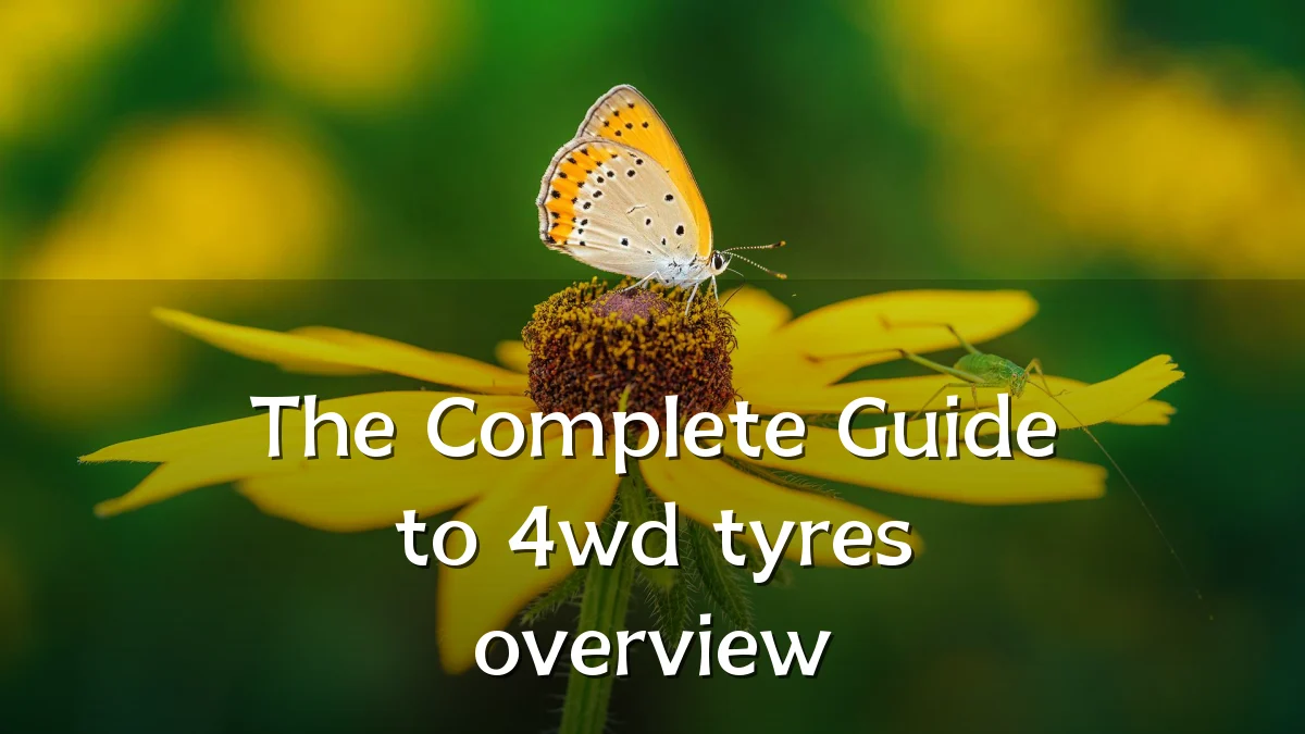 The Complete Guide to 4wd tyres overview