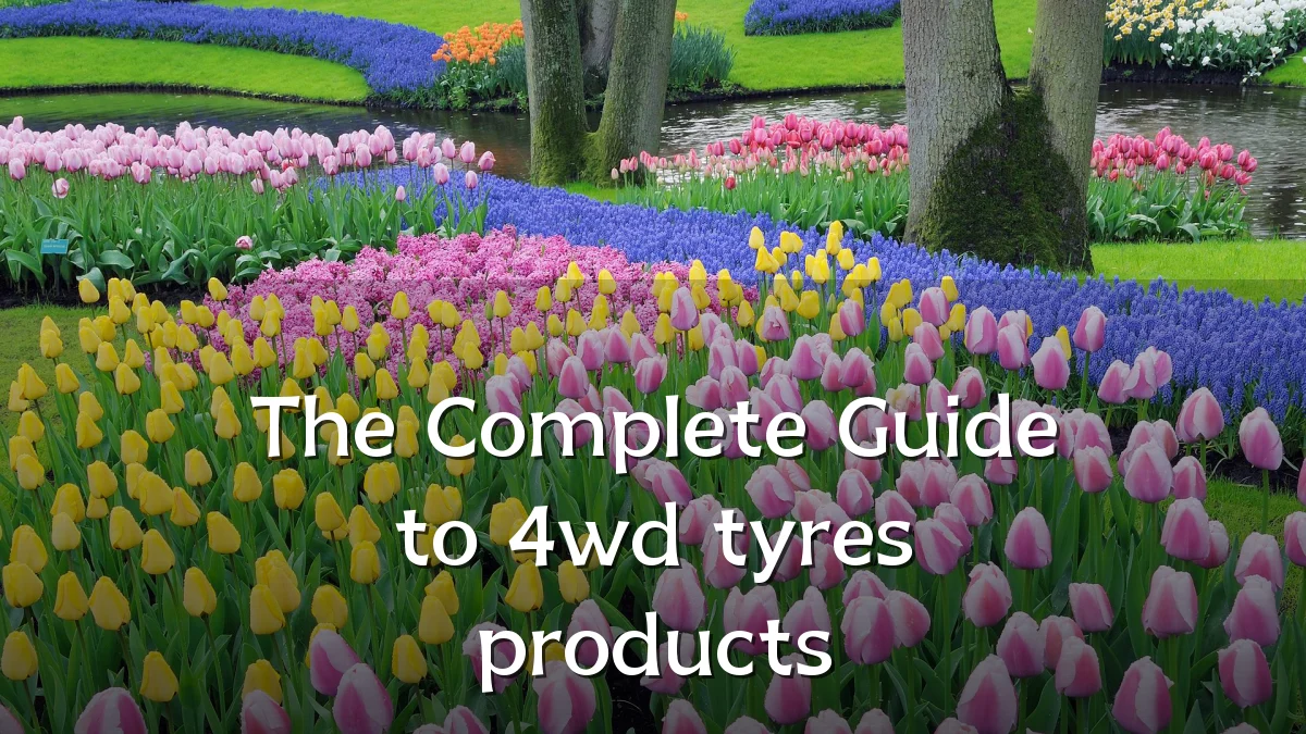 The Complete Guide to 4wd tyres products