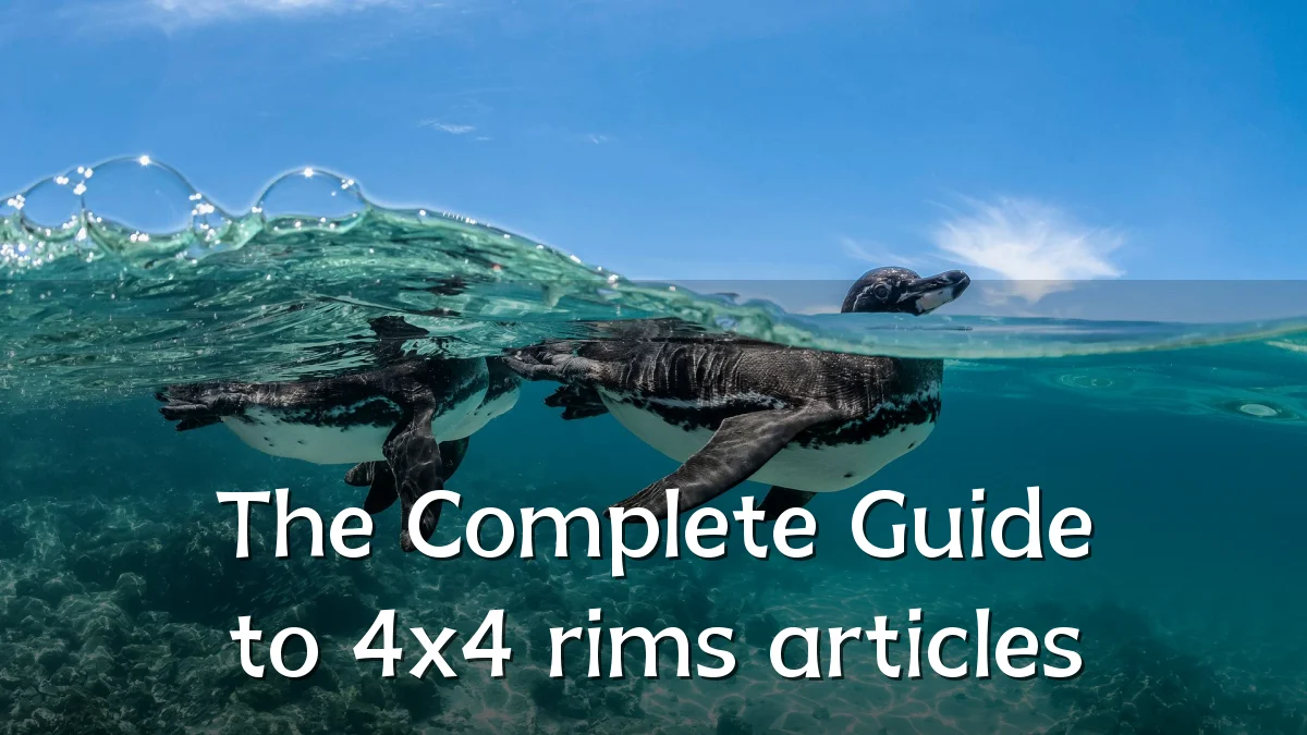 The Complete Guide to 4x4 rims articles