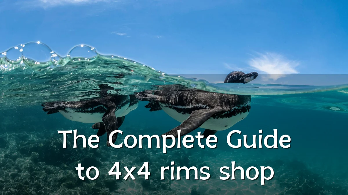 The Complete Guide to 4x4 rims shop