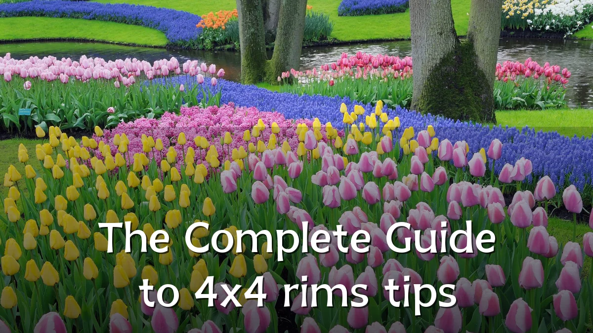 The Complete Guide to 4x4 rims tips
