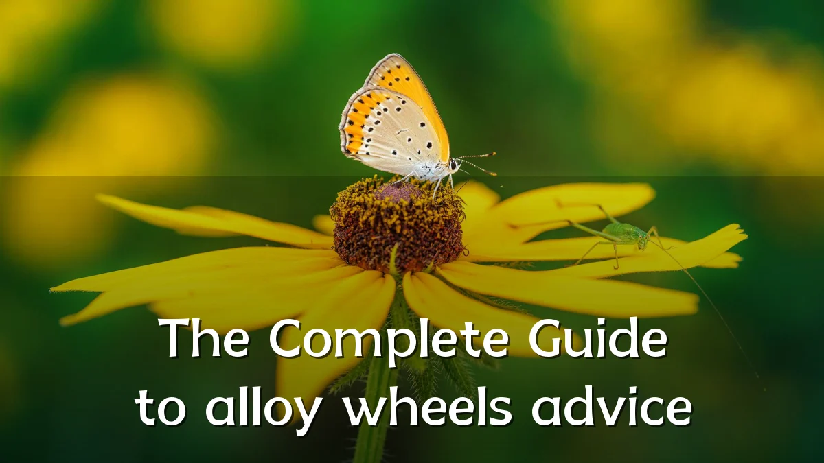 The Complete Guide to alloy wheels advice