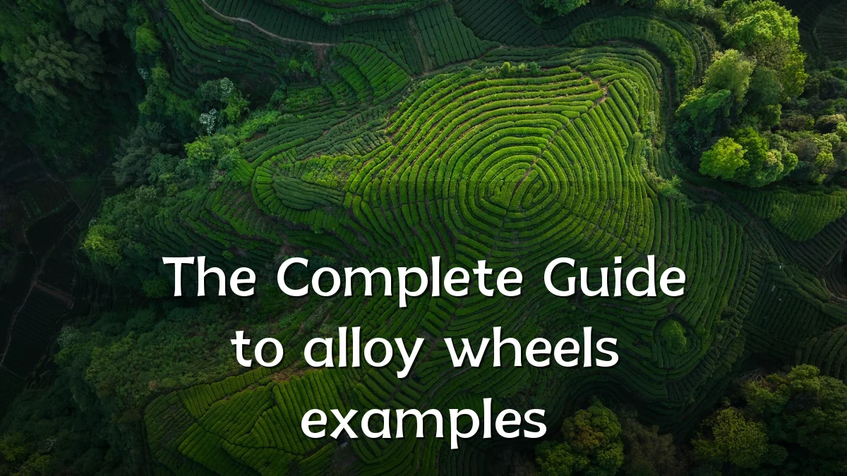 The Complete Guide to alloy wheels examples