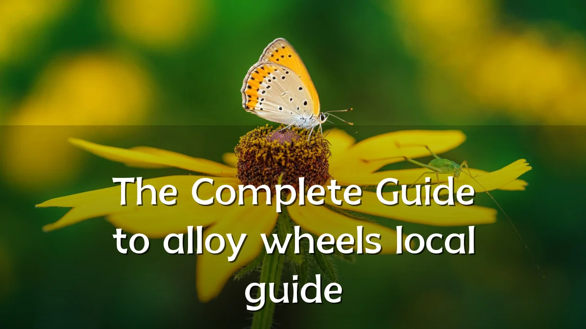 The Complete Guide to alloy wheels local guide