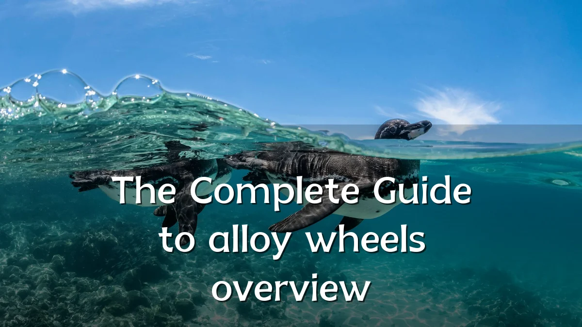 The Complete Guide to alloy wheels overview