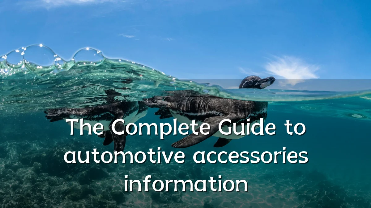 The Complete Guide to automotive accessories information