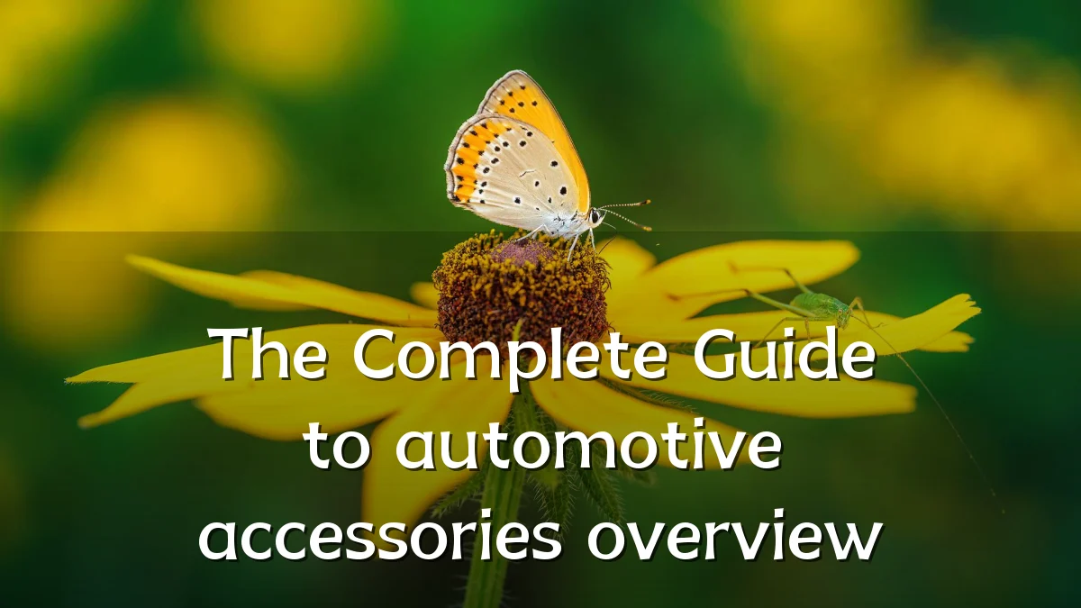 The Complete Guide to automotive accessories overview