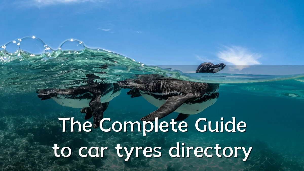 The Complete Guide to car tyres directory