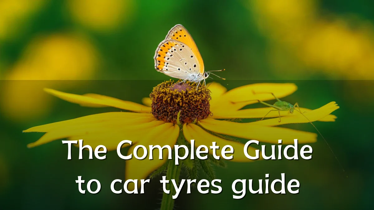 The Complete Guide to car tyres guide