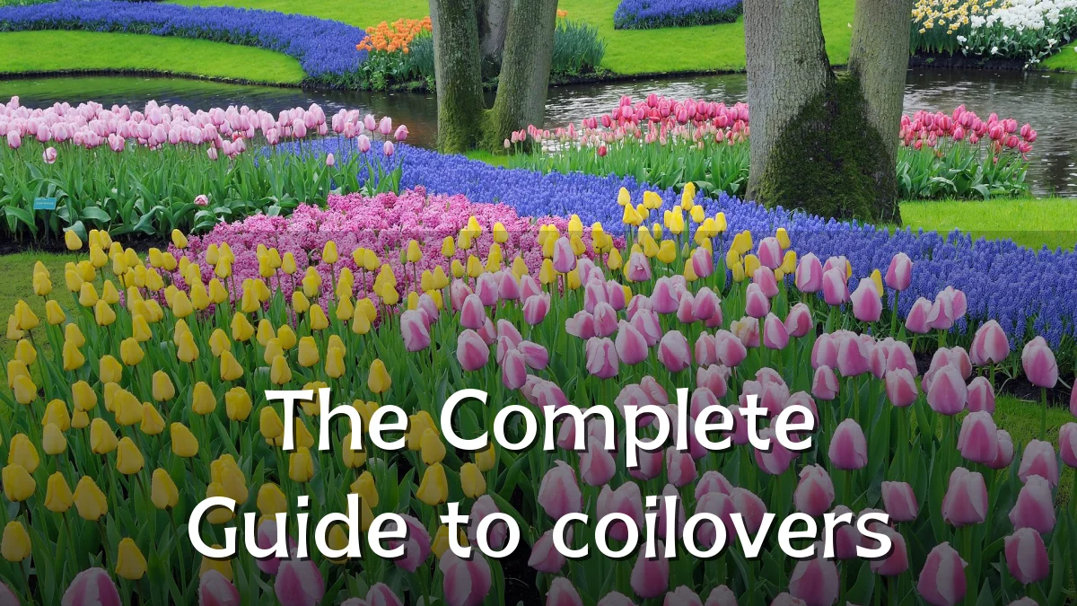 The Complete Guide to coilovers