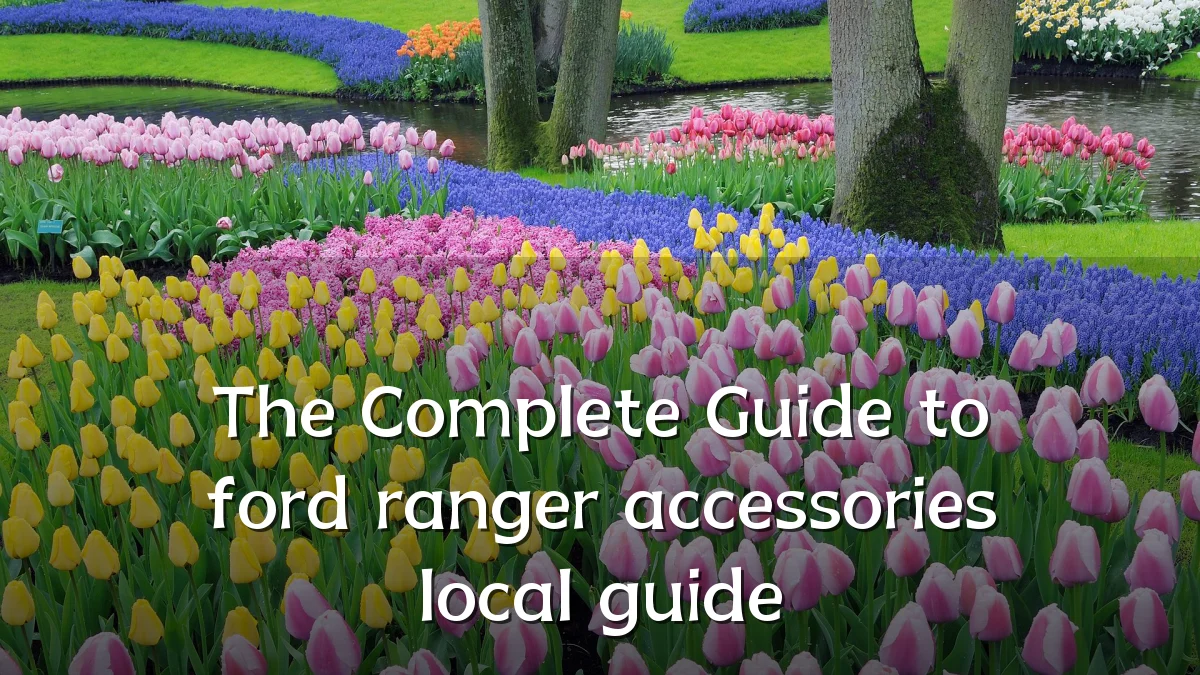 The Complete Guide to ford ranger accessories local guide