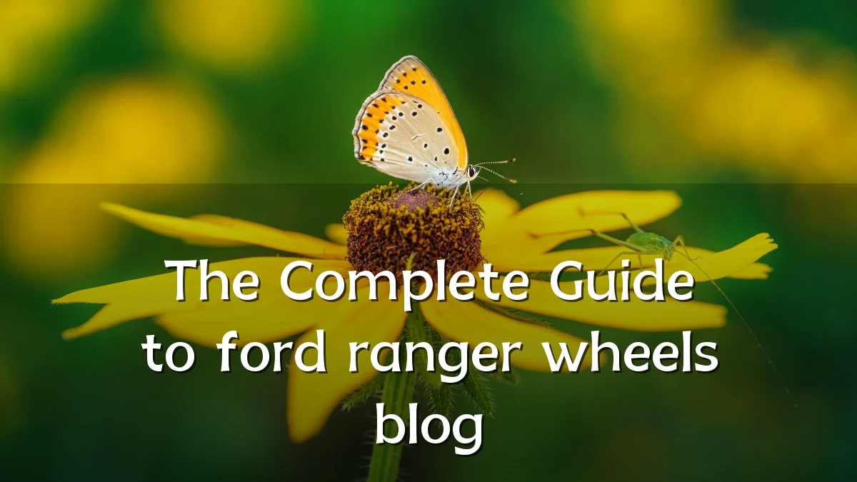 The Complete Guide to ford ranger wheels blog