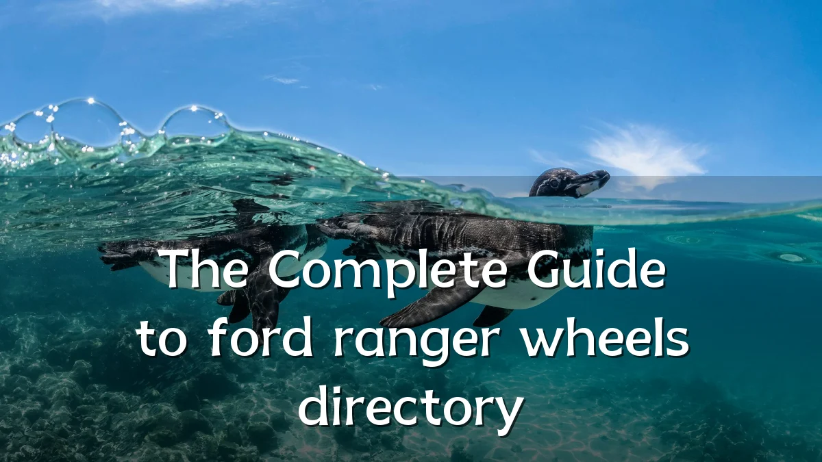 The Complete Guide to ford ranger wheels directory