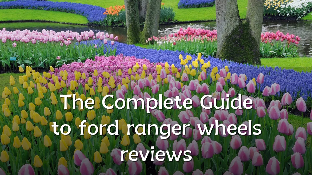 The Complete Guide to ford ranger wheels reviews
