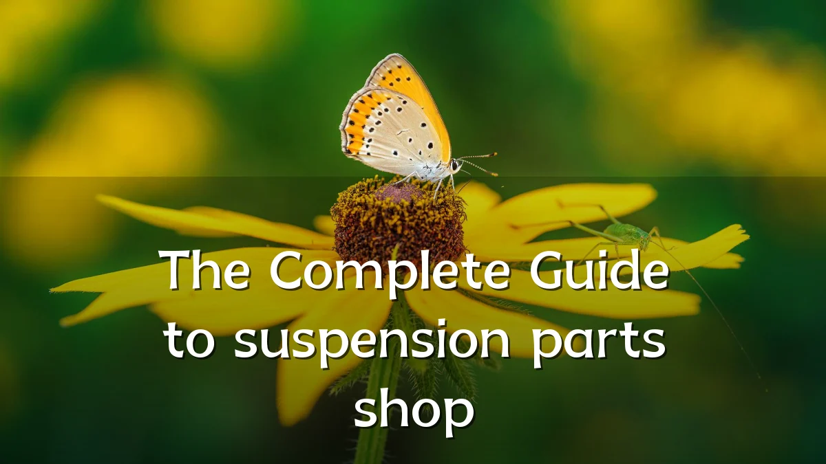 The Complete Guide to suspension parts shop