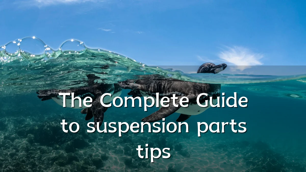 The Complete Guide to suspension parts tips