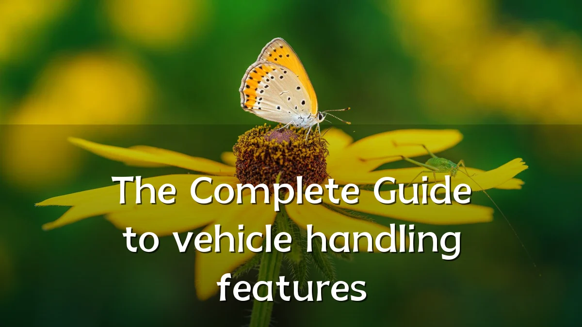 The Complete Guide to vehicle handling features