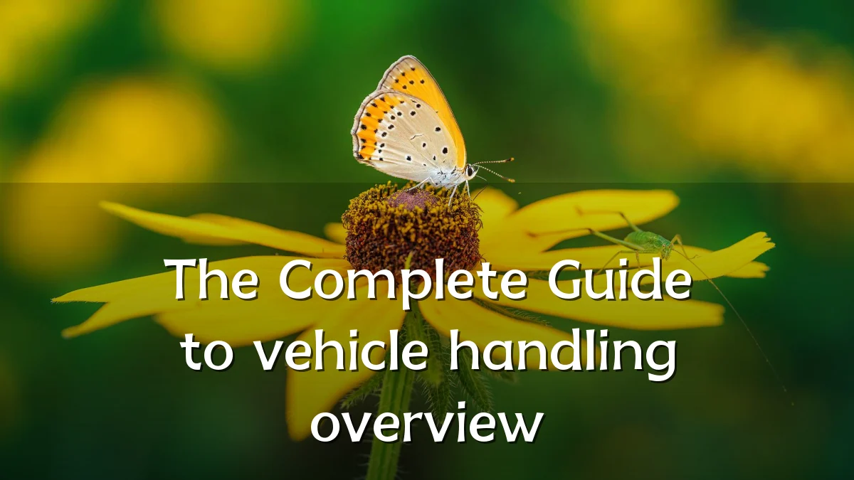 The Complete Guide to vehicle handling overview