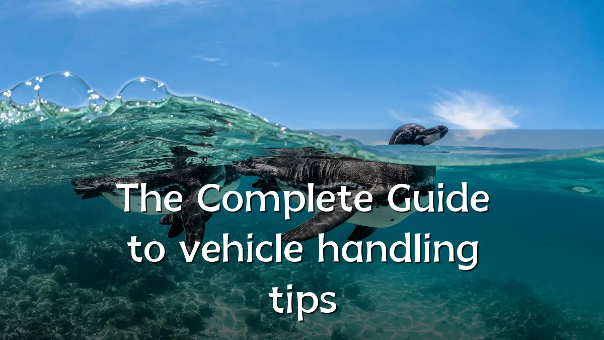 The Complete Guide to vehicle handling tips
