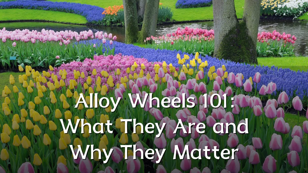 Alloy Wheels 101: What They Are and Why They Matter