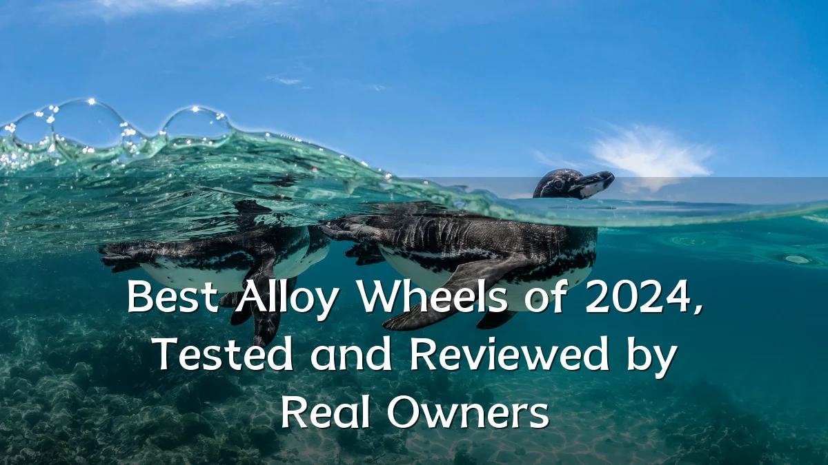 Best Alloy Wheels of 2024, Tested and Reviewed by Real Owners