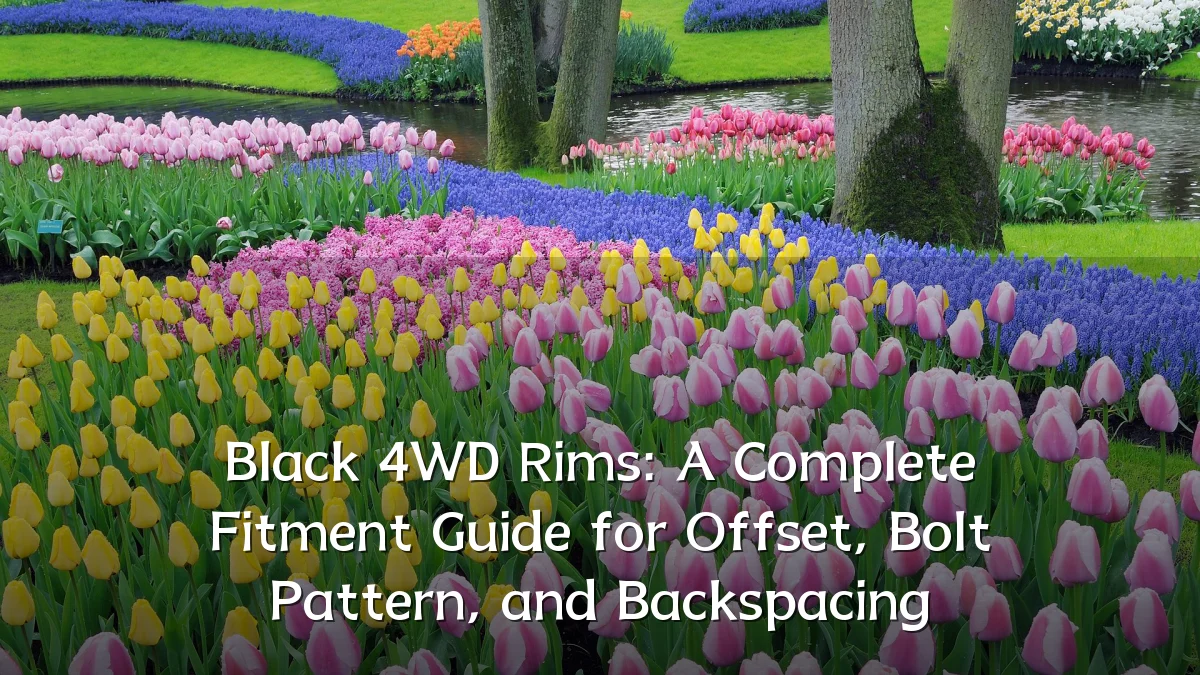Black 4WD Rims: A Complete Fitment Guide for Offset, Bolt Pattern, and Backspacing