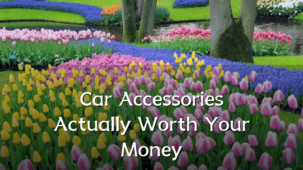 Car Accessories Actually Worth Your Money