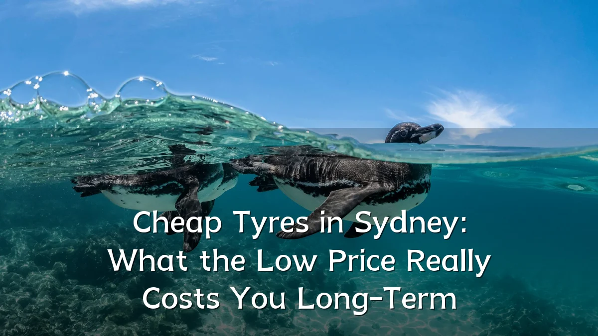 Cheap Tyres in Sydney: What the Low Price Really Costs You Long-Term