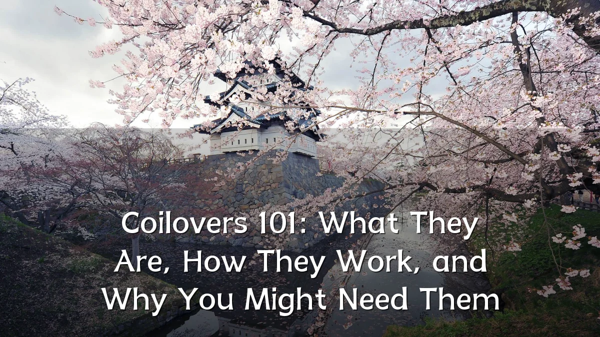 Coilovers 101: What They Are, How They Work, and Why You Might Need Them