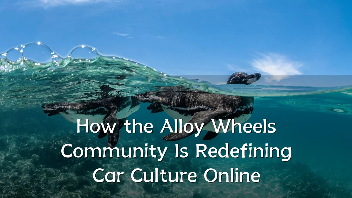 How the Alloy Wheels Community Is Redefining Car Culture Online