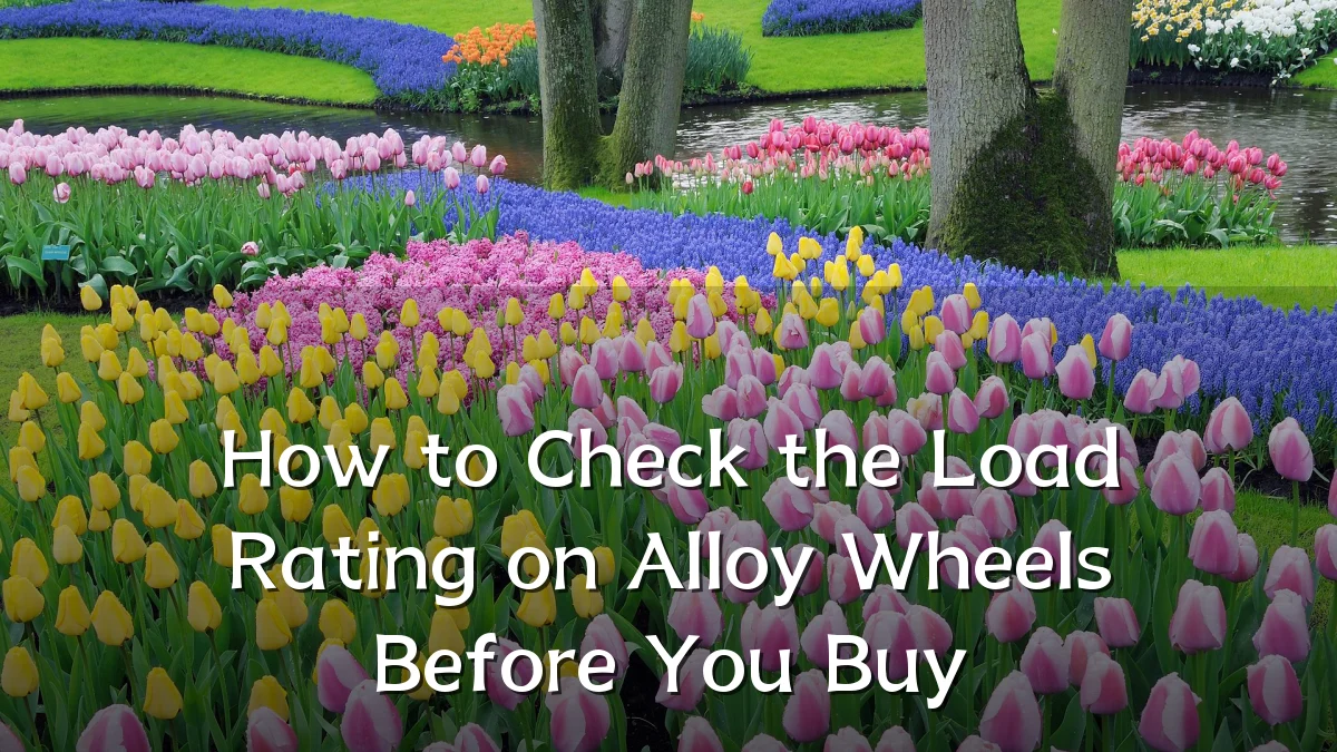 How to Check the Load Rating on Alloy Wheels Before You Buy