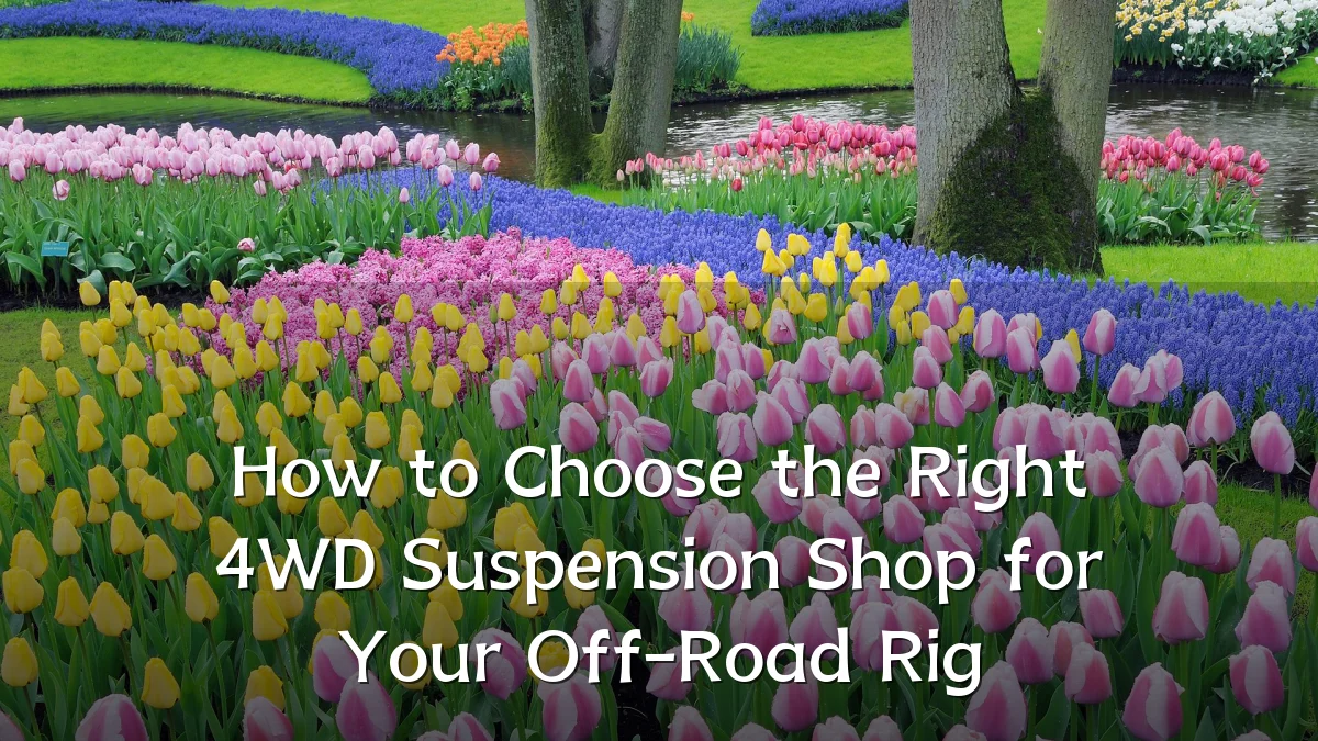 How to Choose the Right 4WD Suspension Shop for Your Off-Road Rig