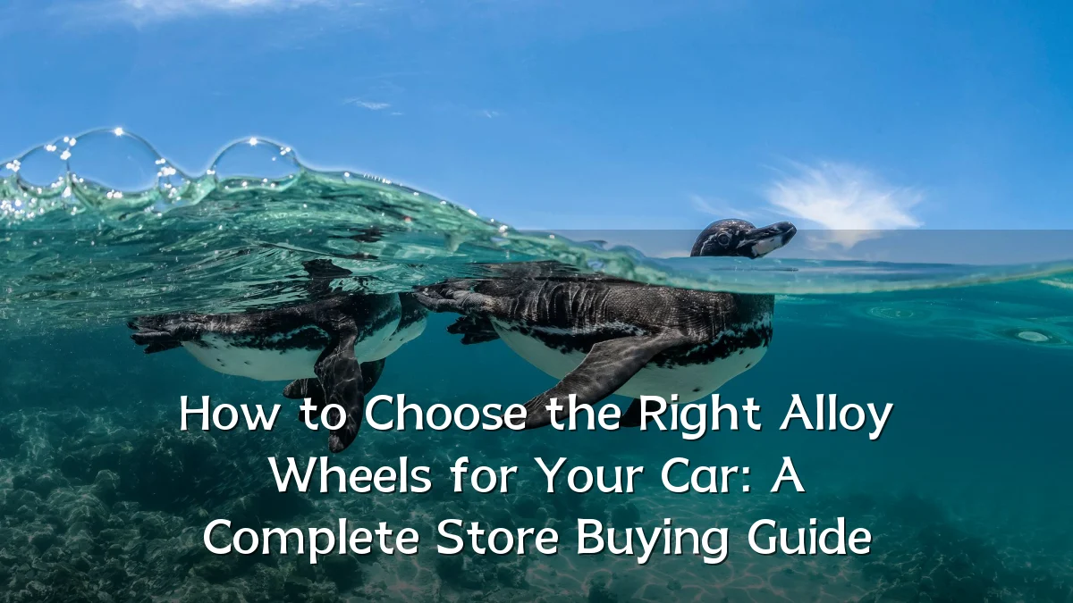 How to Choose the Right Alloy Wheels for Your Car: A Complete Store Buying Guide