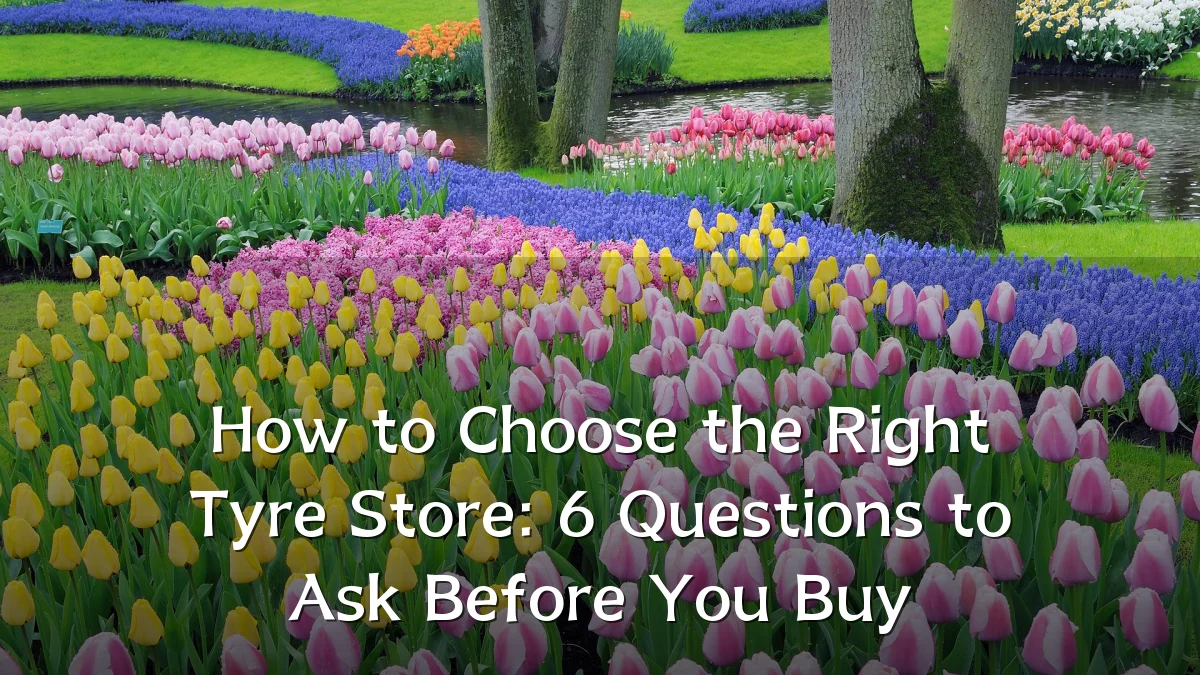 How to Choose the Right Tyre Store: 6 Questions to Ask Before You Buy